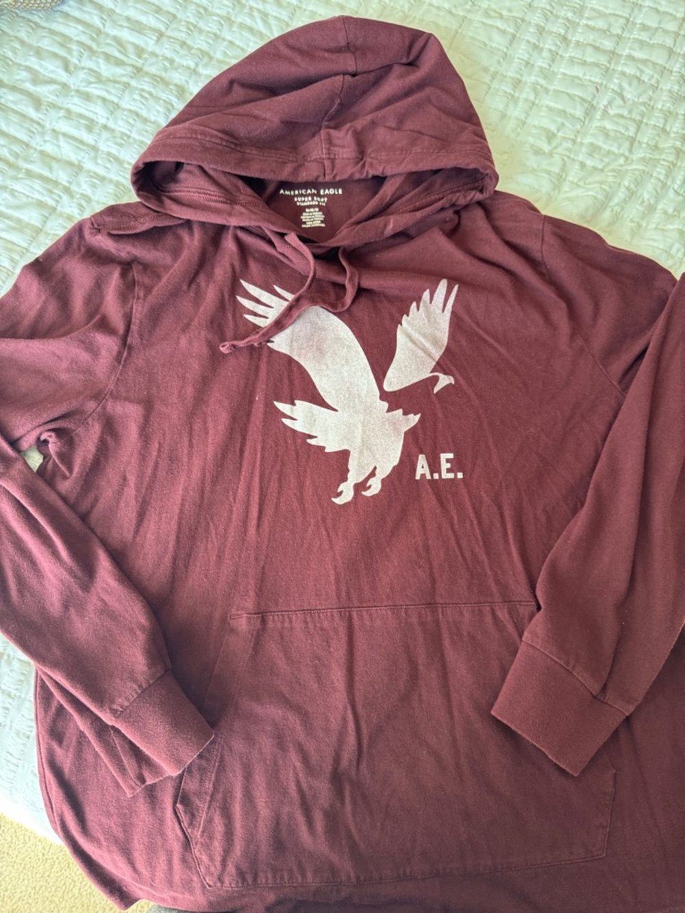 American Eagle Outfitters Maroon Pullover Hoodie
